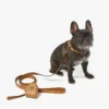 Wristlet Pet Litter Bag Holder in Monogram Print Leather Wristlet Pet Litter Bag Holder in Monogram Print Leather